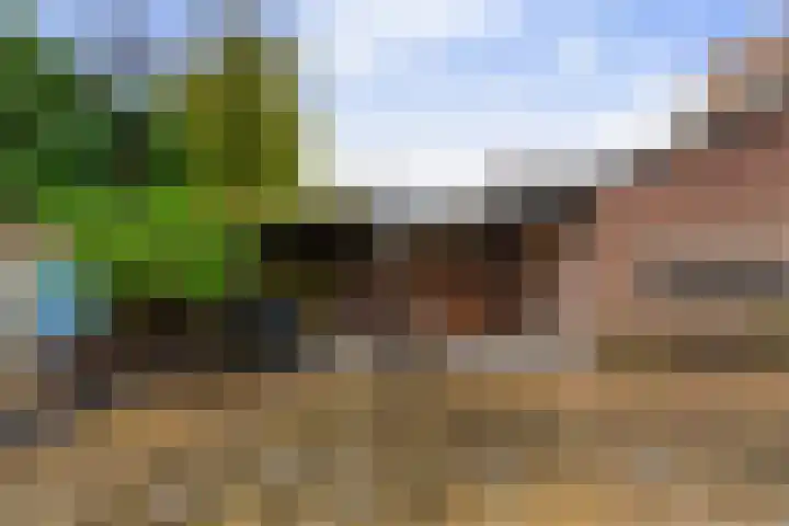 Pastorijakker 31 Den Dungen thumbnail 33