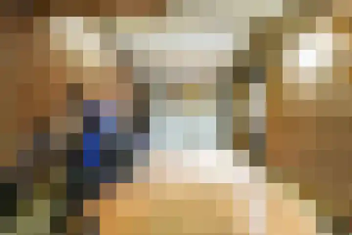Pastorijakker 31 Den Dungen thumbnail 34