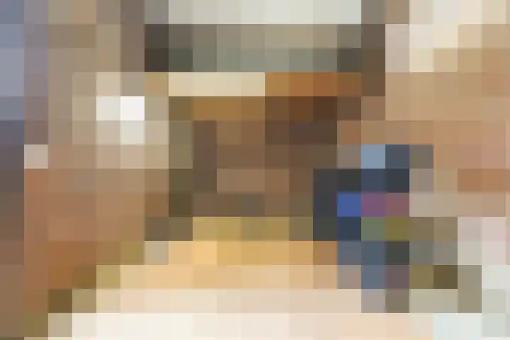 Pastorijakker 31 Den Dungen thumbnail 35