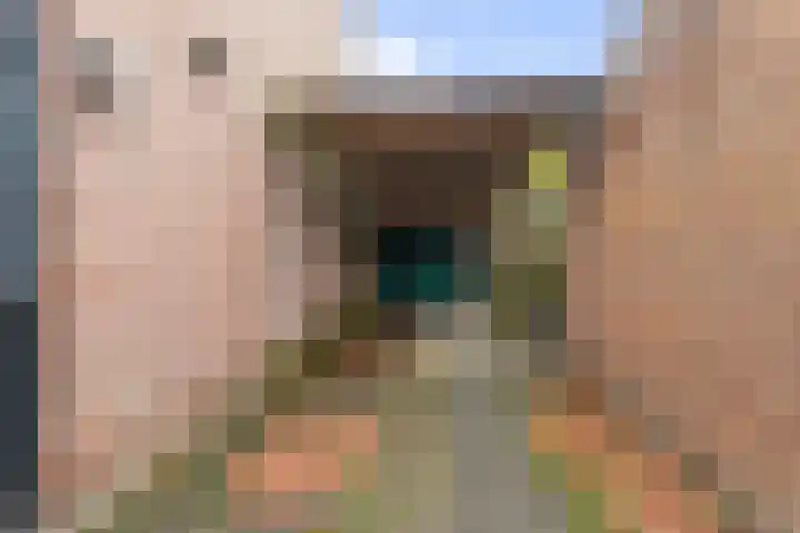 Pastorijakker 31 Den Dungen thumbnail 36