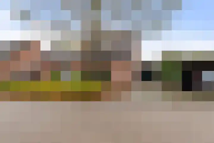 Pastorijakker 31 Den Dungen thumbnail 37