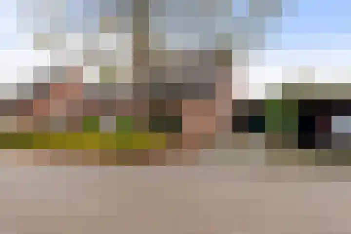 Pastorijakker 31 Den Dungen thumbnail 38