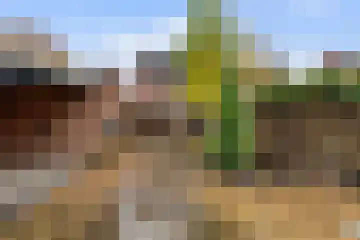 Pastorijakker 31 Den Dungen thumbnail 4