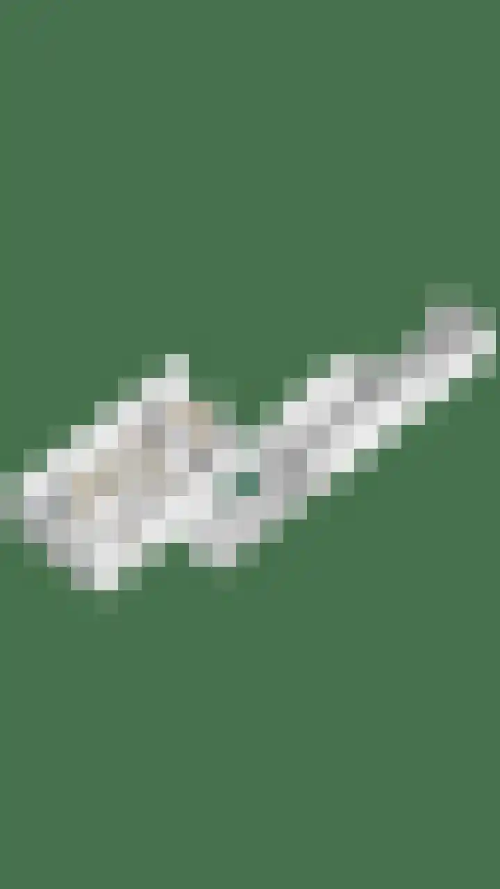 Pastorijakker 31 Den Dungen thumbnail 40