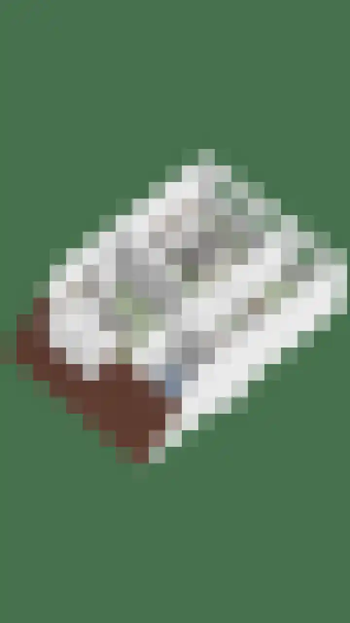 Pastorijakker 31 Den Dungen thumbnail 42