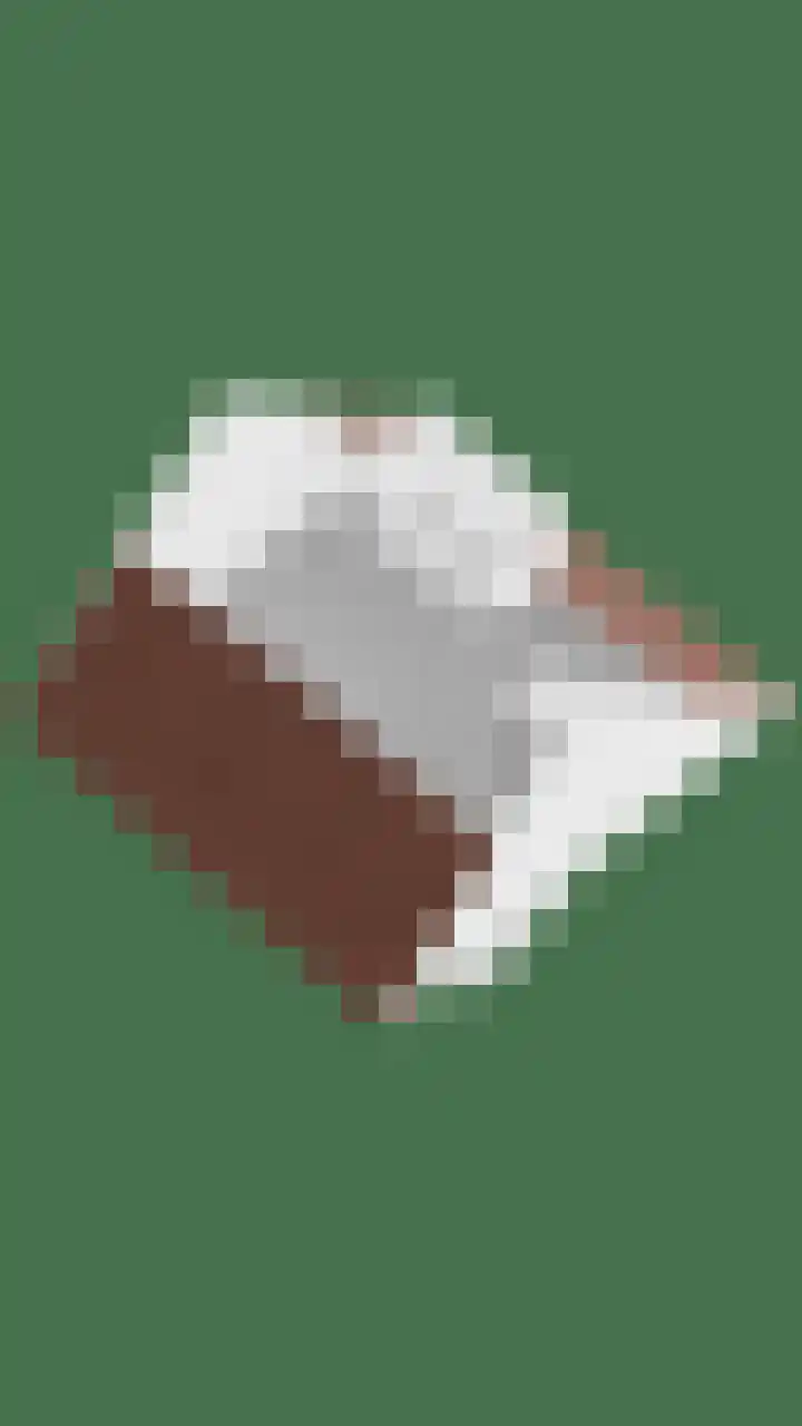 Pastorijakker 31 Den Dungen thumbnail 43