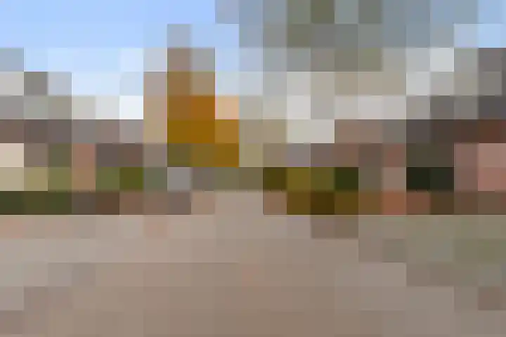 Pastorijakker 31 Den Dungen thumbnail 5
