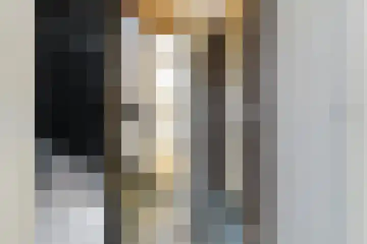 Pastorijakker 31 Den Dungen thumbnail 7