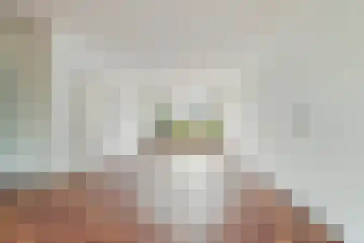 Pastorijakker 31 Den Dungen thumbnail 8