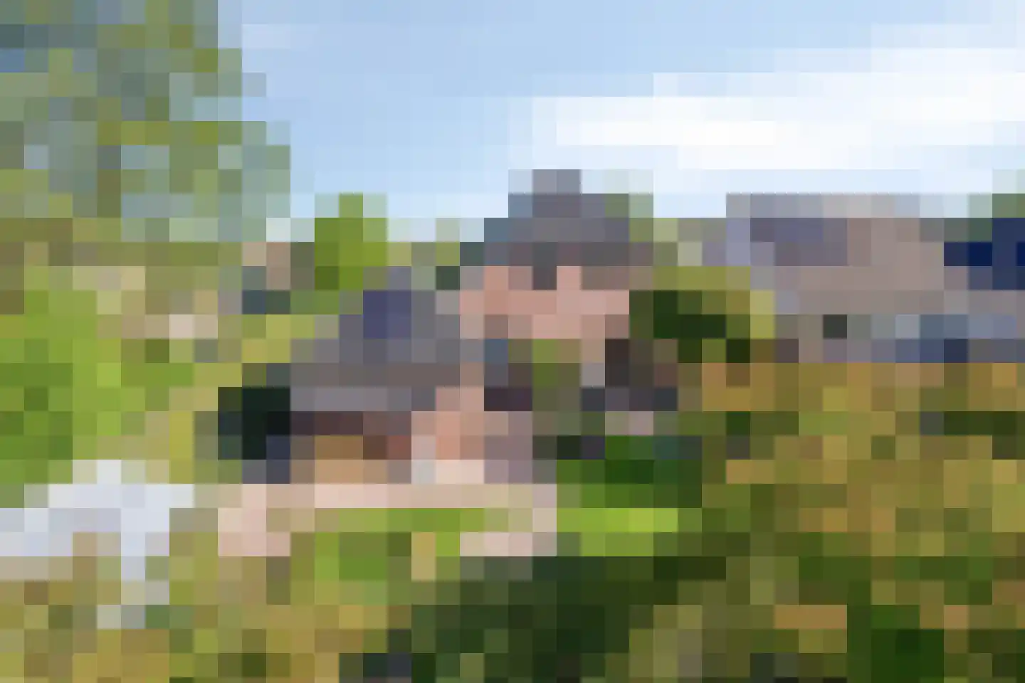 Pastorije 100 Tolbert thumbnail 4