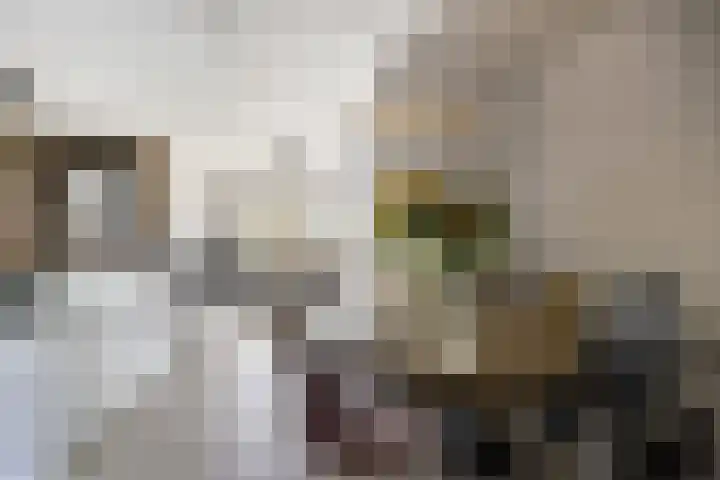 Pastorije 36 Tolbert thumbnail 18