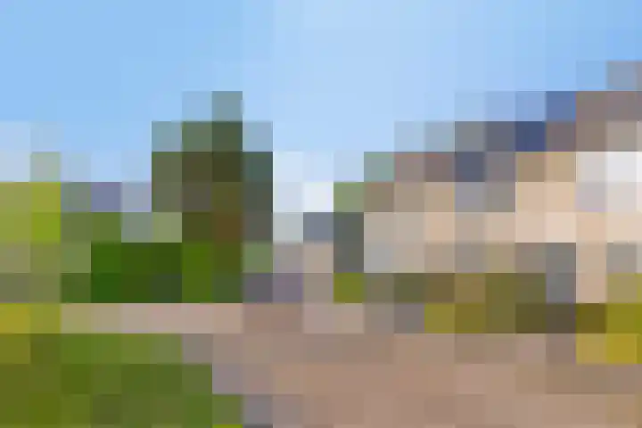 Pastorije 36 Tolbert thumbnail 39