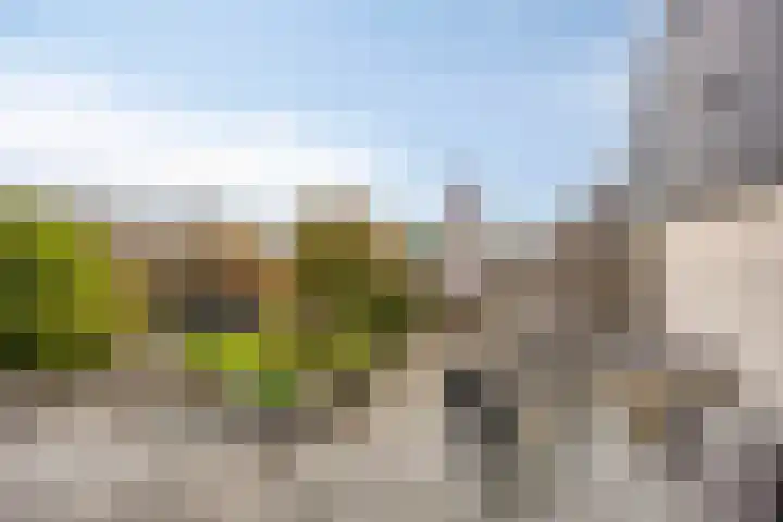 Pastorije 4 Tolbert thumbnail 29