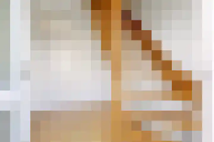 Pastorije 98 Tolbert thumbnail 14