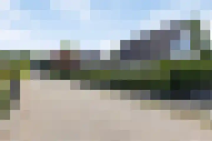 Pastorije 98 Tolbert thumbnail 29