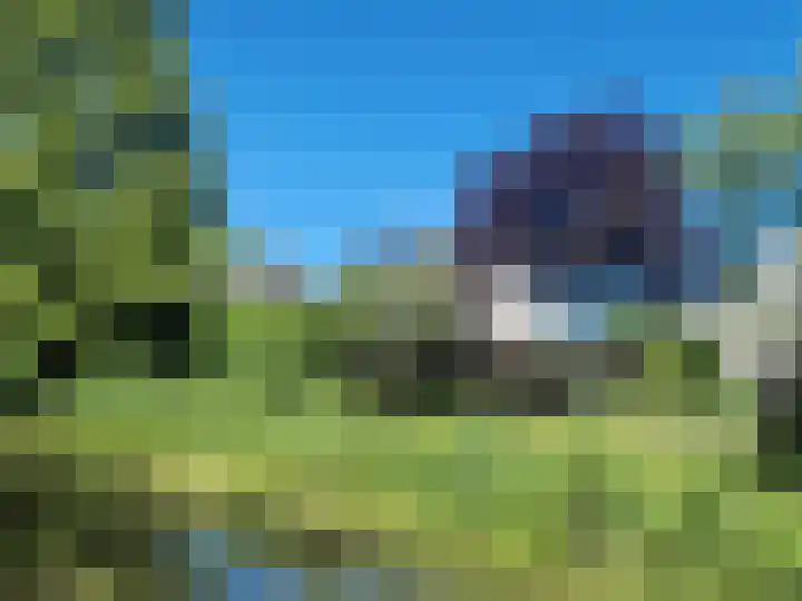 Pastorije 98 Tolbert thumbnail 30