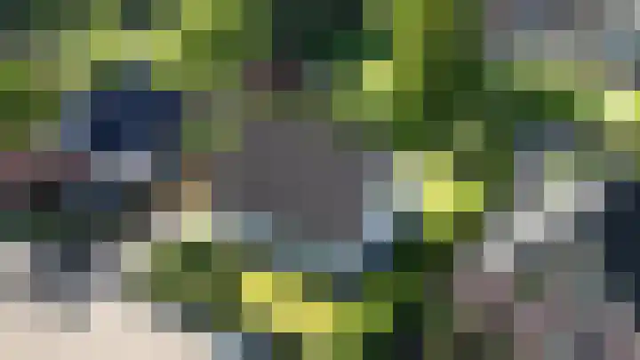 Pastorije 98 Tolbert thumbnail 31