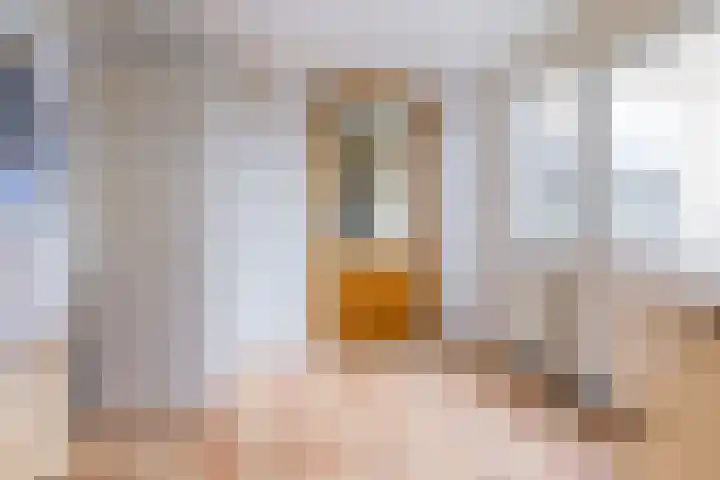 Pastorijehôf 22 Aldwâld thumbnail 18