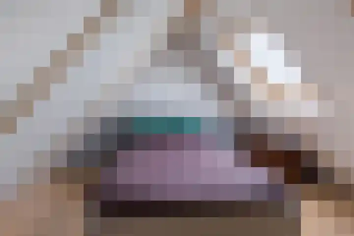 Pastorijehôf 22 Aldwâld thumbnail 29