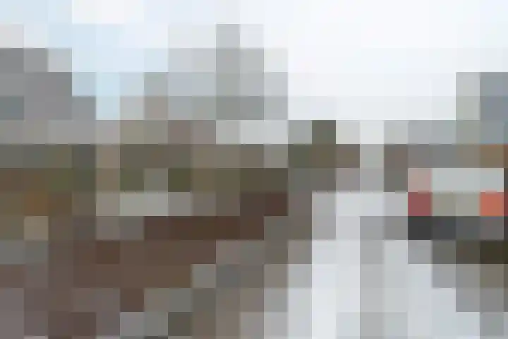 Pastorijehôf 22 Aldwâld thumbnail 37