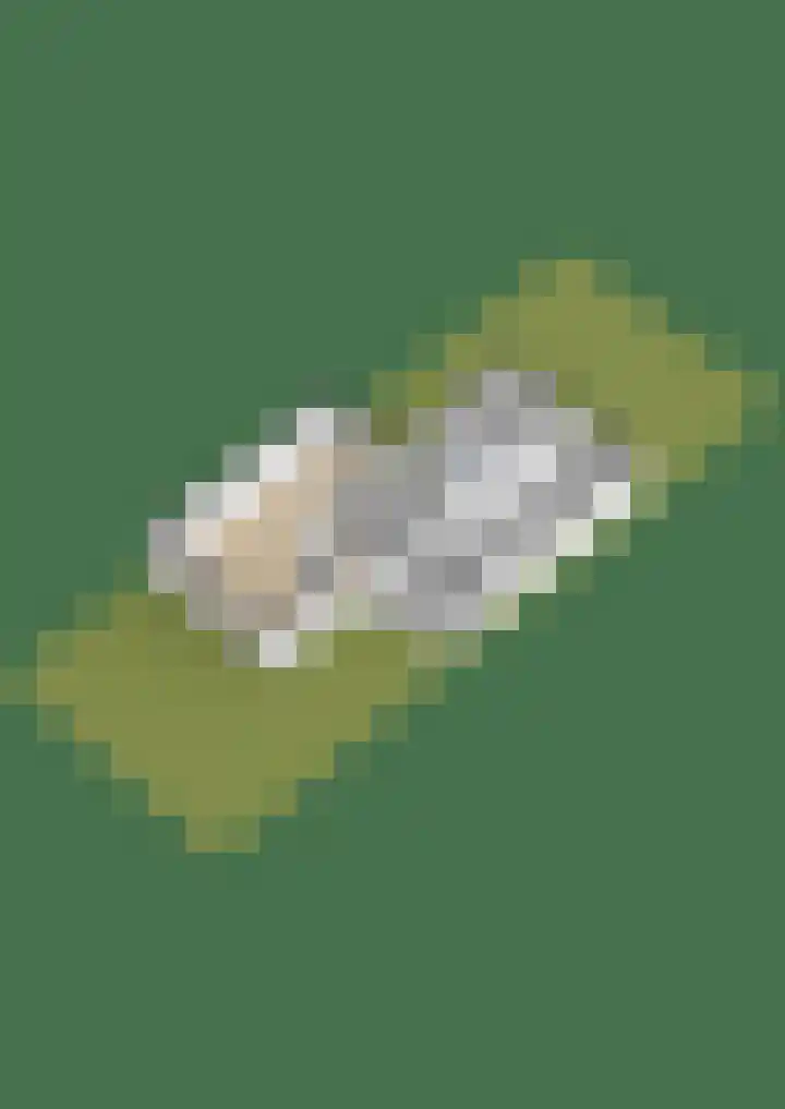 Pastorijehôf 22 Aldwâld thumbnail 45