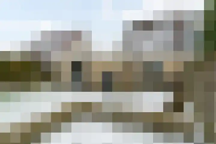 Pastorijehôf 22 Aldwâld thumbnail 6