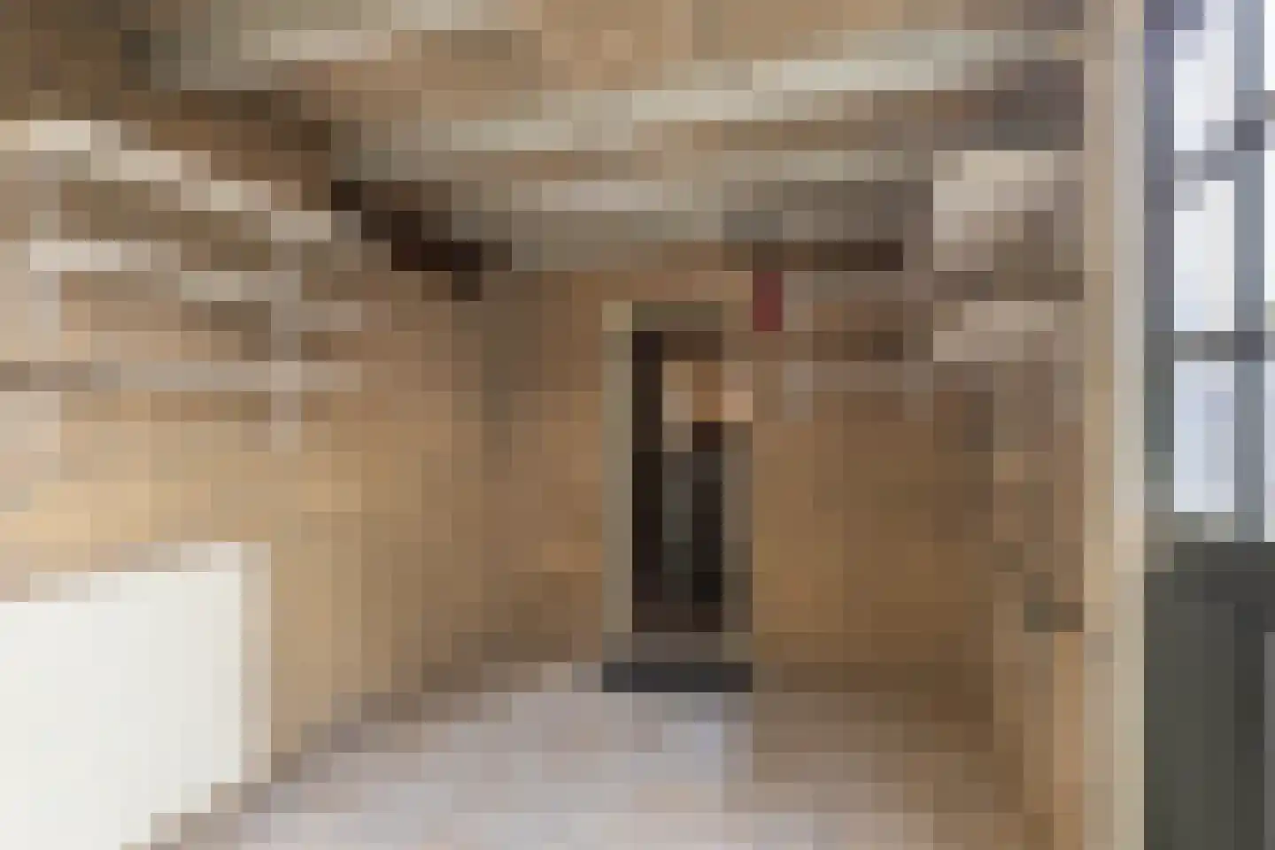 Pastorijleane 10 Tzum thumbnail 17