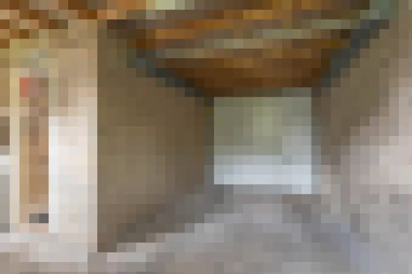 Pastorijleane 10 Tzum thumbnail 18