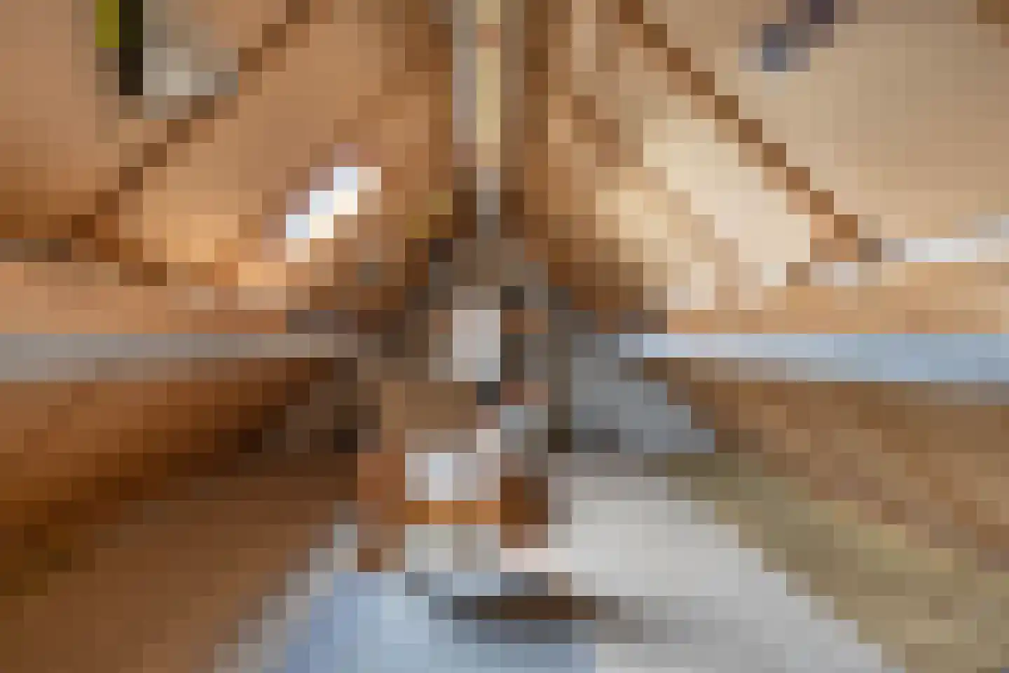 Pastorijleane 10 Tzum thumbnail 25