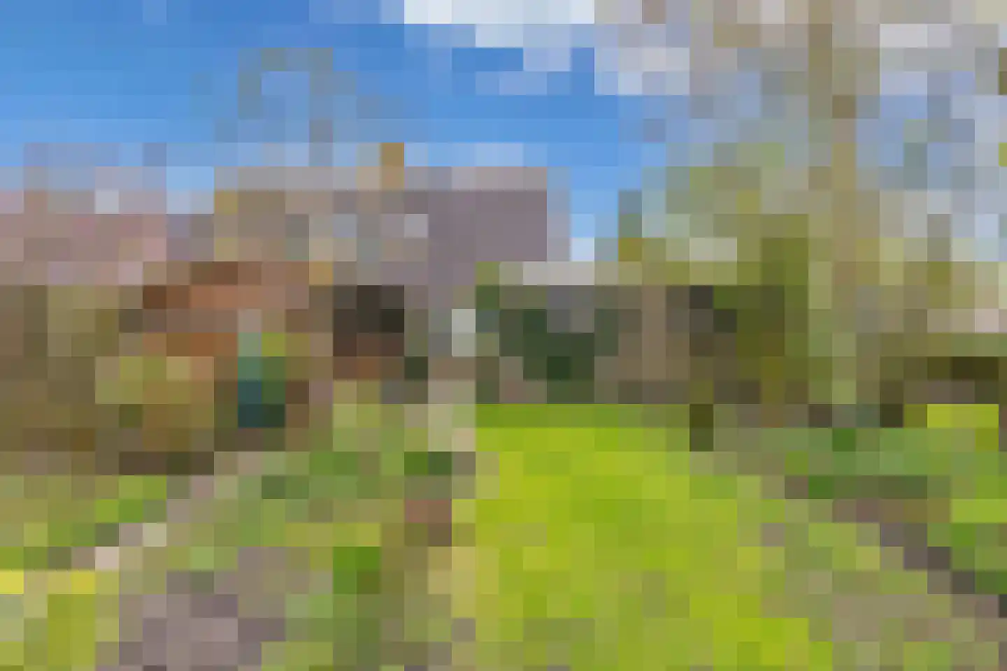 Pastorijleane 10 Tzum thumbnail 26