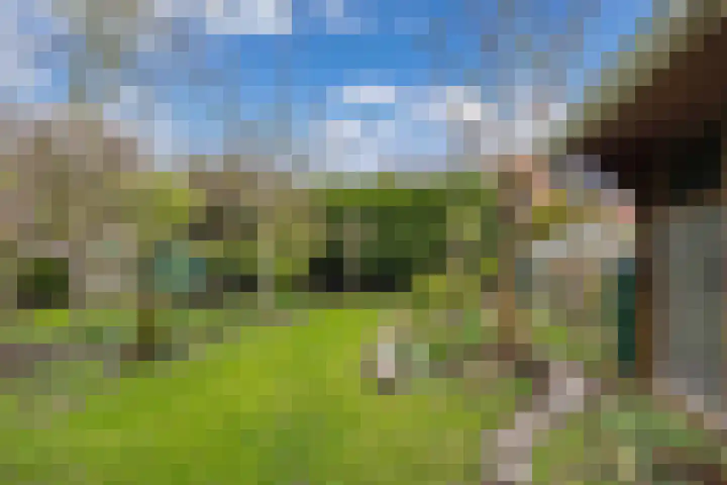 Pastorijleane 10 Tzum thumbnail 28