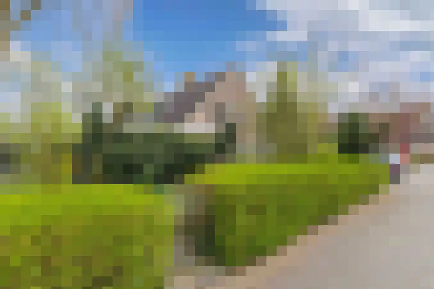 Pastorijleane 10 Tzum thumbnail 31