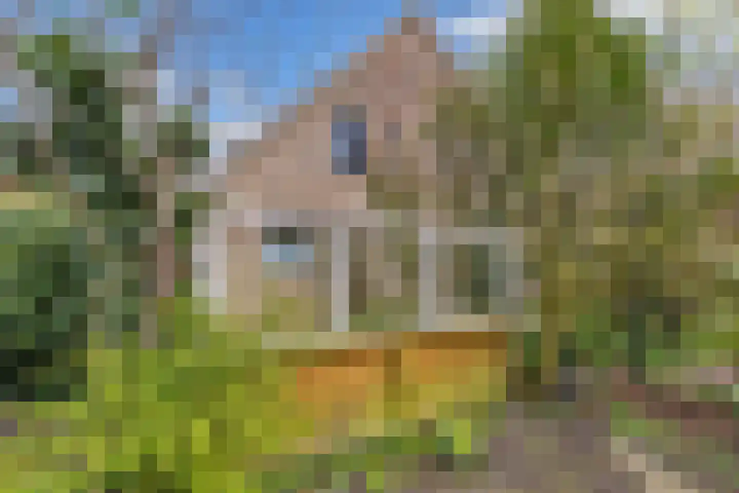 Pastorijleane 10 Tzum thumbnail 32