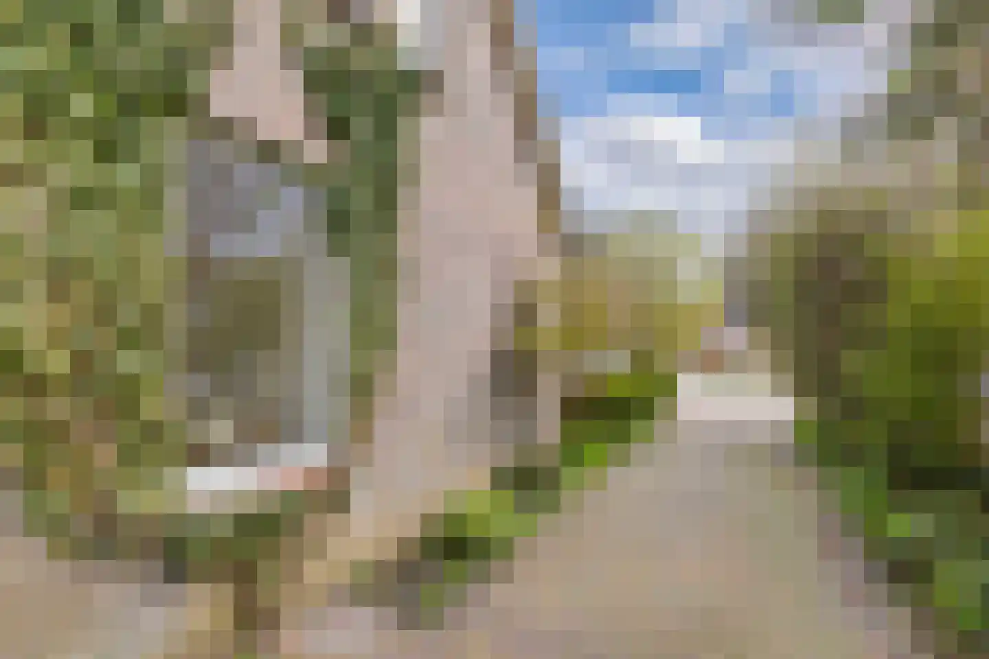 Pastorijleane 10 Tzum thumbnail 33