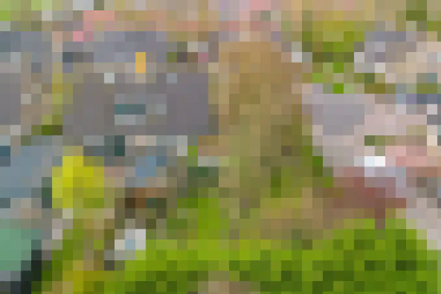 Pastorijleane 10 Tzum thumbnail 4