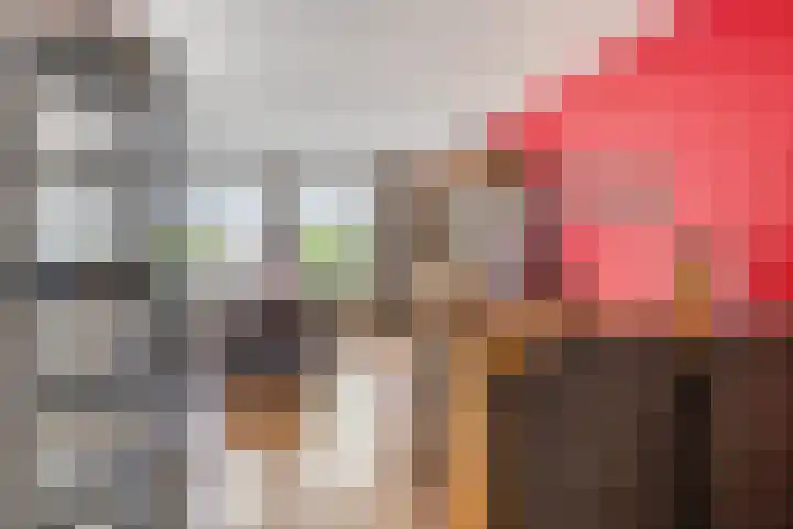 Pastorijleane 11 Tzum thumbnail 12