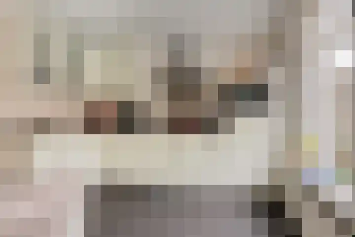 Pastorijleane 11 Tzum thumbnail 14