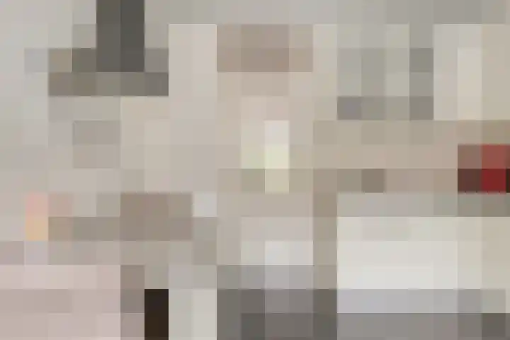 Pastorijleane 11 Tzum thumbnail 15