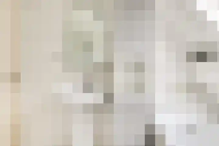 Pastorijleane 11 Tzum thumbnail 23