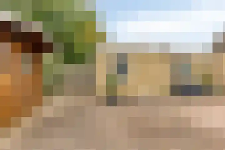 Pastorijleane 11 Tzum thumbnail 30