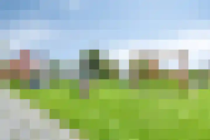 Pastorijleane 11 Tzum thumbnail 34