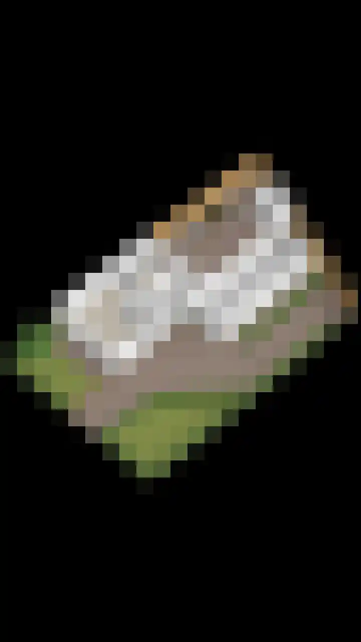 Pastorijleane 11 Tzum thumbnail 36