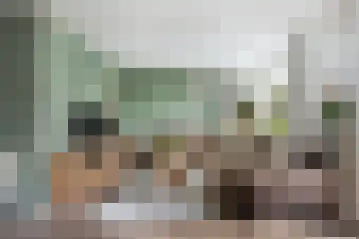 Pastorijleane 40 Tzum thumbnail 15