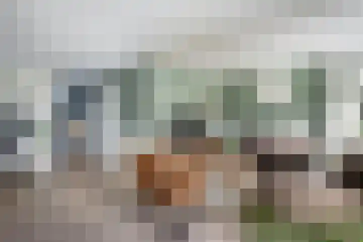 Pastorijleane 40 Tzum thumbnail 16