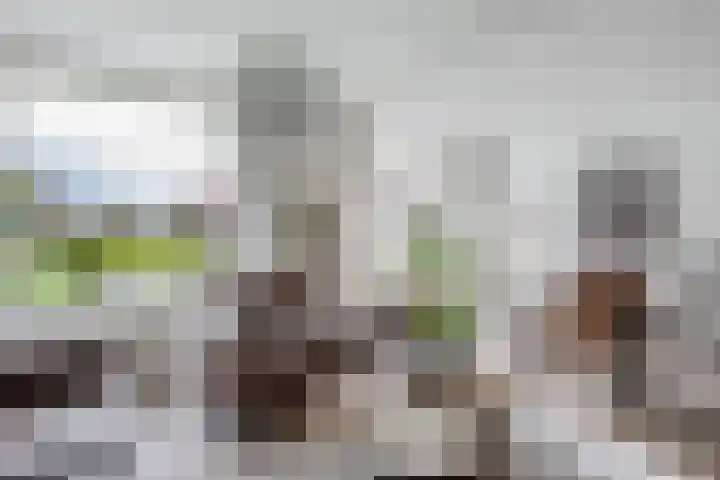 Pastorijleane 40 Tzum thumbnail 18