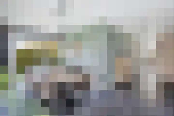 Pastorijleane 40 Tzum thumbnail 20