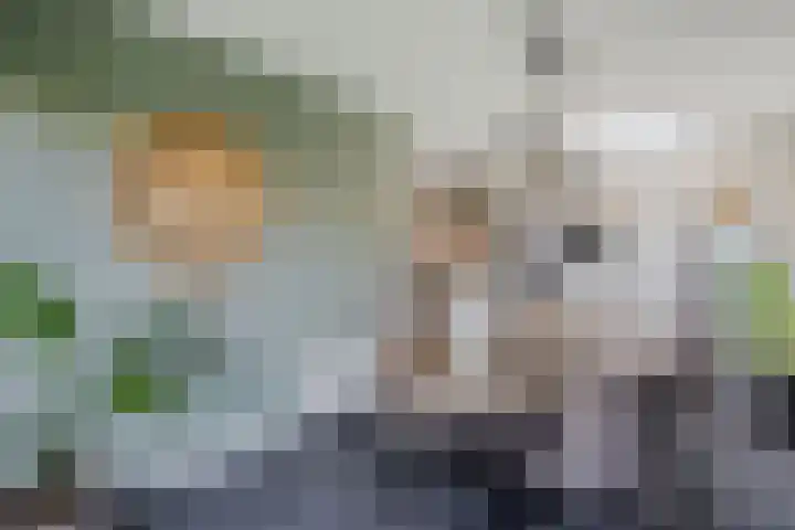 Pastorijleane 40 Tzum thumbnail 22