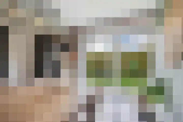 Pastorijleane 40 Tzum thumbnail 23