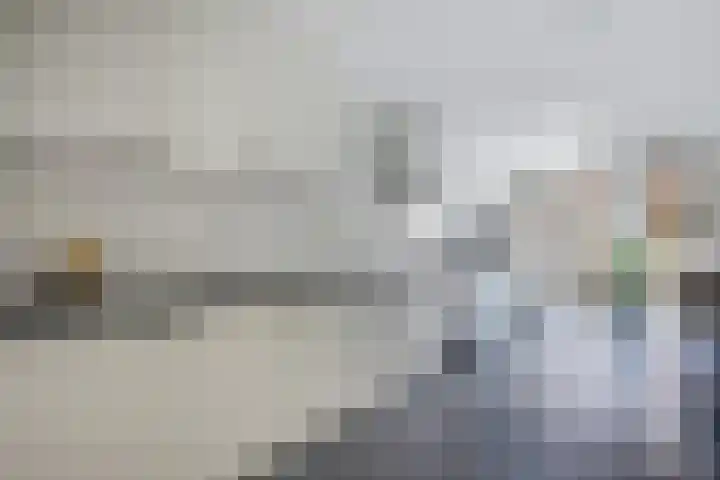 Pastorijleane 40 Tzum thumbnail 24