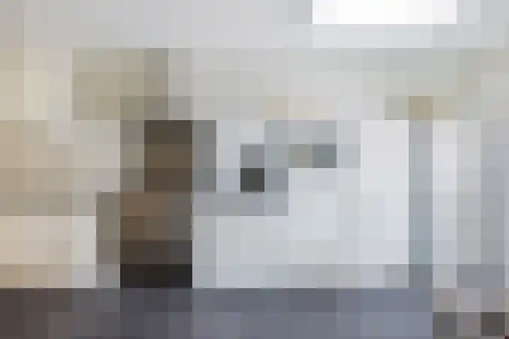 Pastorijleane 40 Tzum thumbnail 25